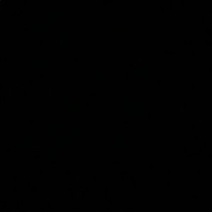 Meet your Posher, Iris